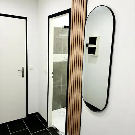 Grand Studio 15 Minutes De Geneve Apartment