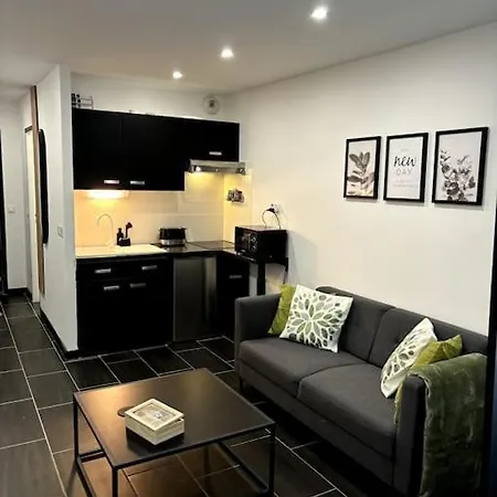 Apartment Grand Studio 15 Minutes De Geneve